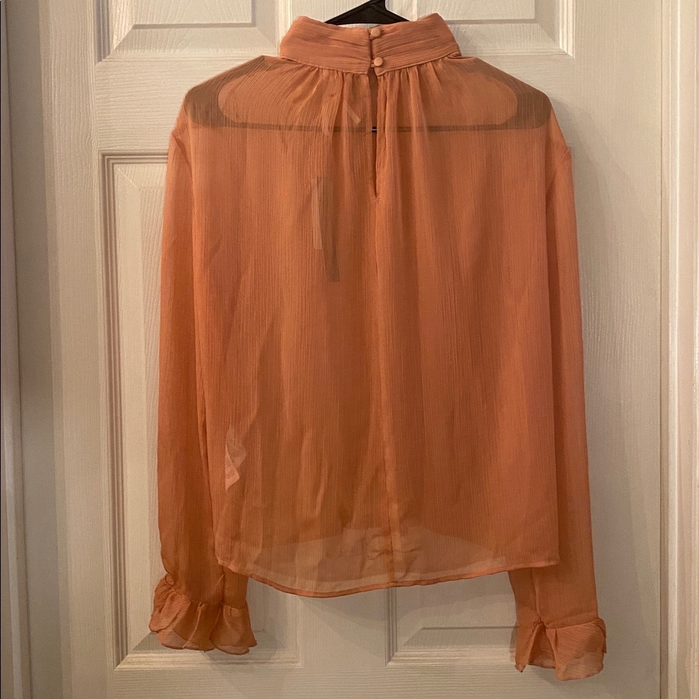 Anthropologie Sheer Terracotta Blouse Top NWTs - Picture 8 of 13